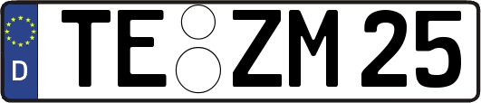 TE-ZM25