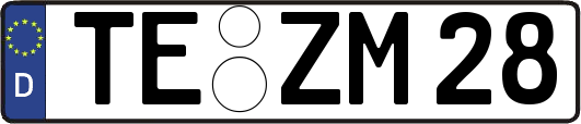 TE-ZM28