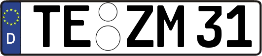 TE-ZM31