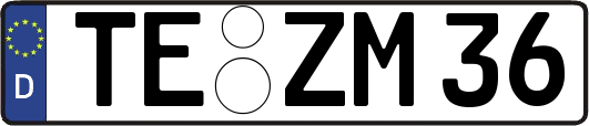 TE-ZM36