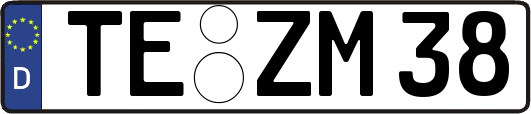 TE-ZM38
