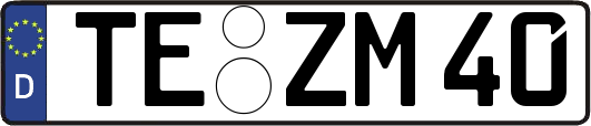 TE-ZM40