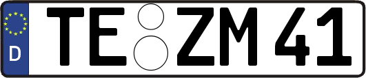 TE-ZM41