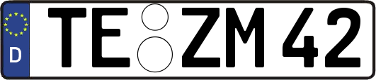 TE-ZM42