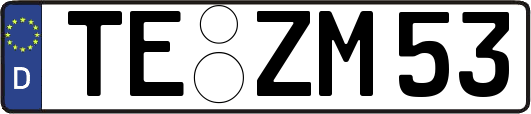 TE-ZM53