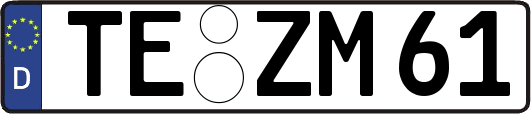 TE-ZM61