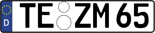 TE-ZM65