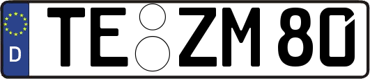 TE-ZM80