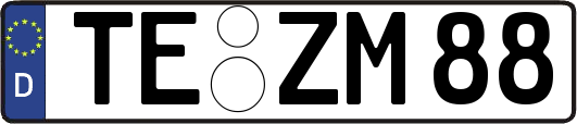 TE-ZM88