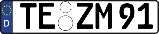 TE-ZM91