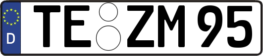 TE-ZM95