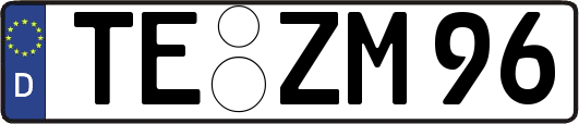 TE-ZM96