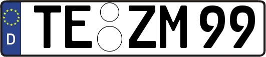 TE-ZM99