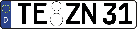 TE-ZN31