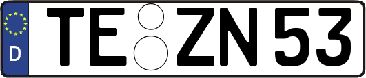 TE-ZN53