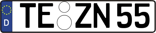 TE-ZN55
