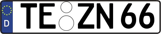 TE-ZN66