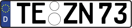 TE-ZN73