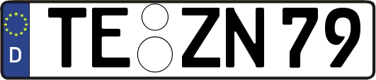 TE-ZN79