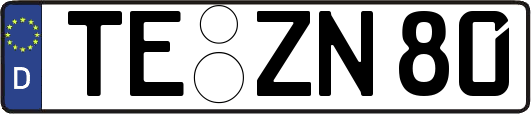 TE-ZN80