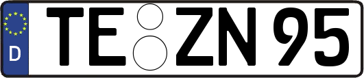 TE-ZN95