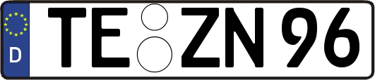 TE-ZN96
