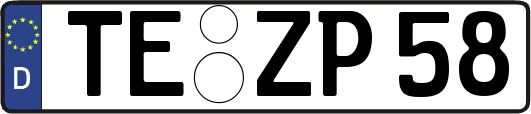 TE-ZP58