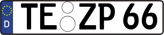 TE-ZP66