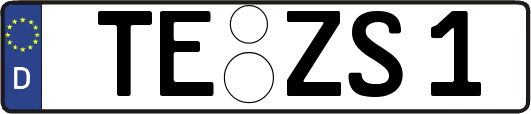 TE-ZS1