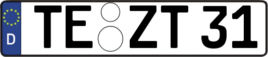 TE-ZT31