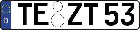 TE-ZT53