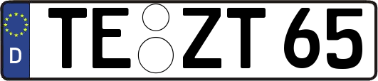 TE-ZT65