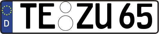 TE-ZU65