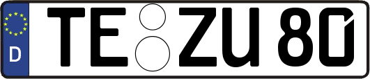 TE-ZU80