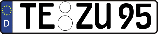 TE-ZU95