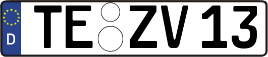 TE-ZV13
