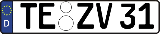 TE-ZV31
