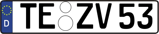TE-ZV53