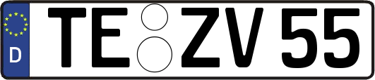 TE-ZV55