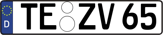 TE-ZV65