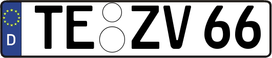 TE-ZV66