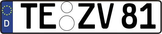 TE-ZV81