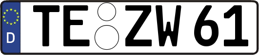 TE-ZW61