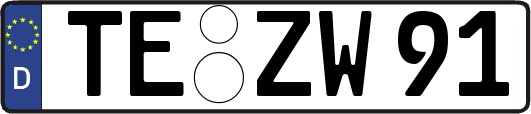 TE-ZW91