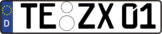 TE-ZX01