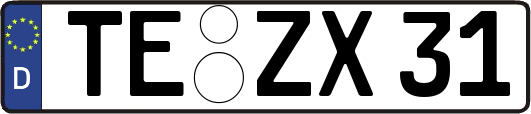 TE-ZX31