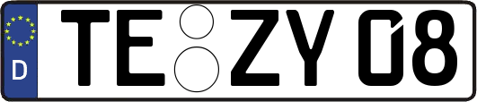 TE-ZY08