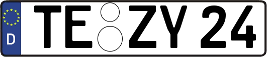 TE-ZY24