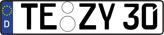 TE-ZY30
