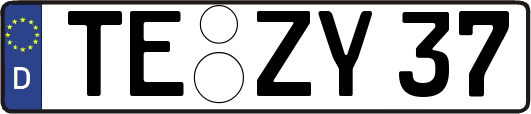 TE-ZY37